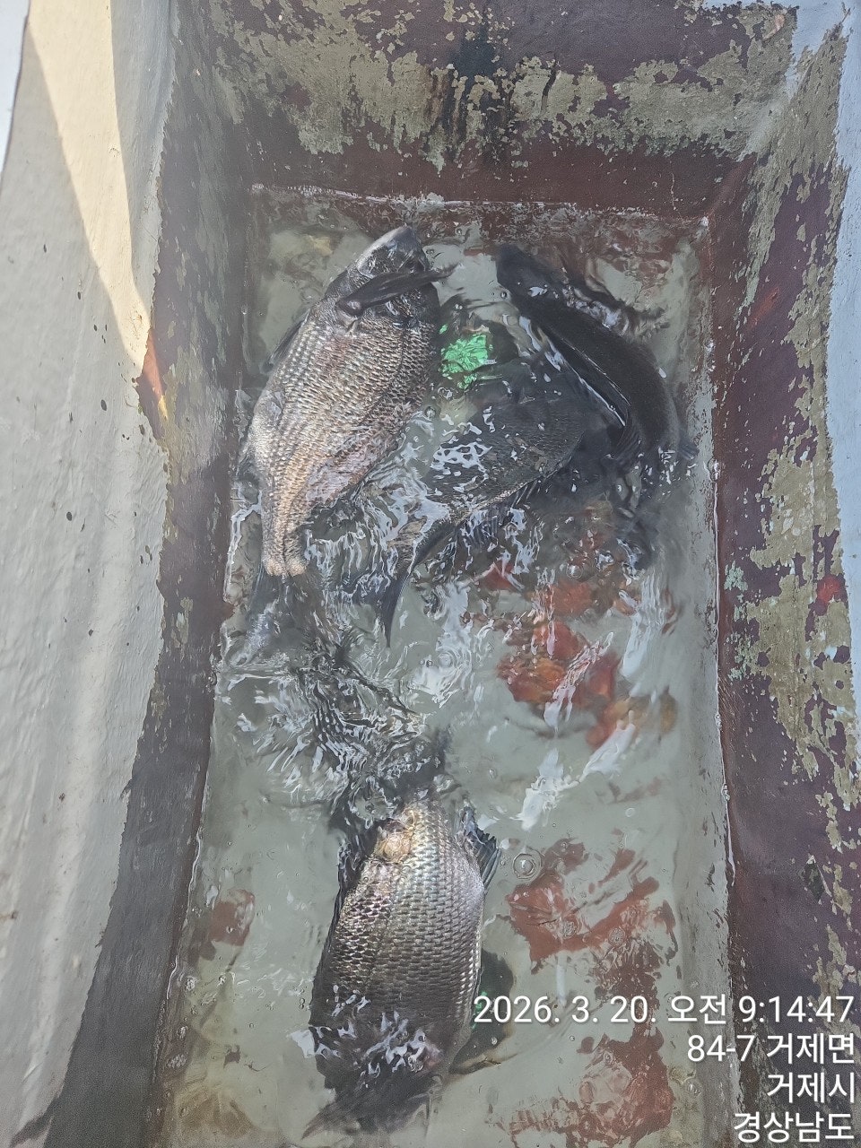 ����ڰ� �ø� �̹���