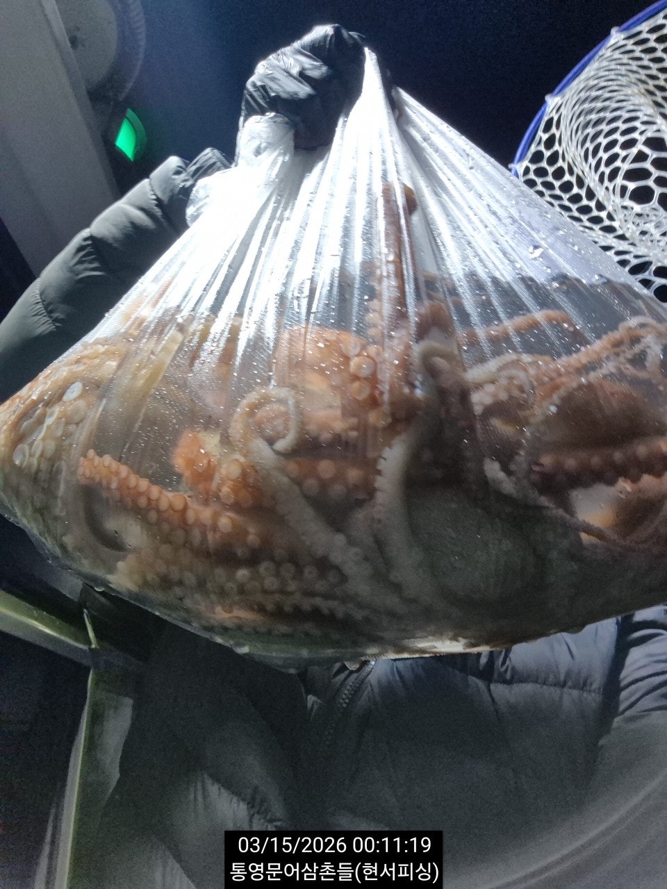 ����ڰ� �ø� �̹���