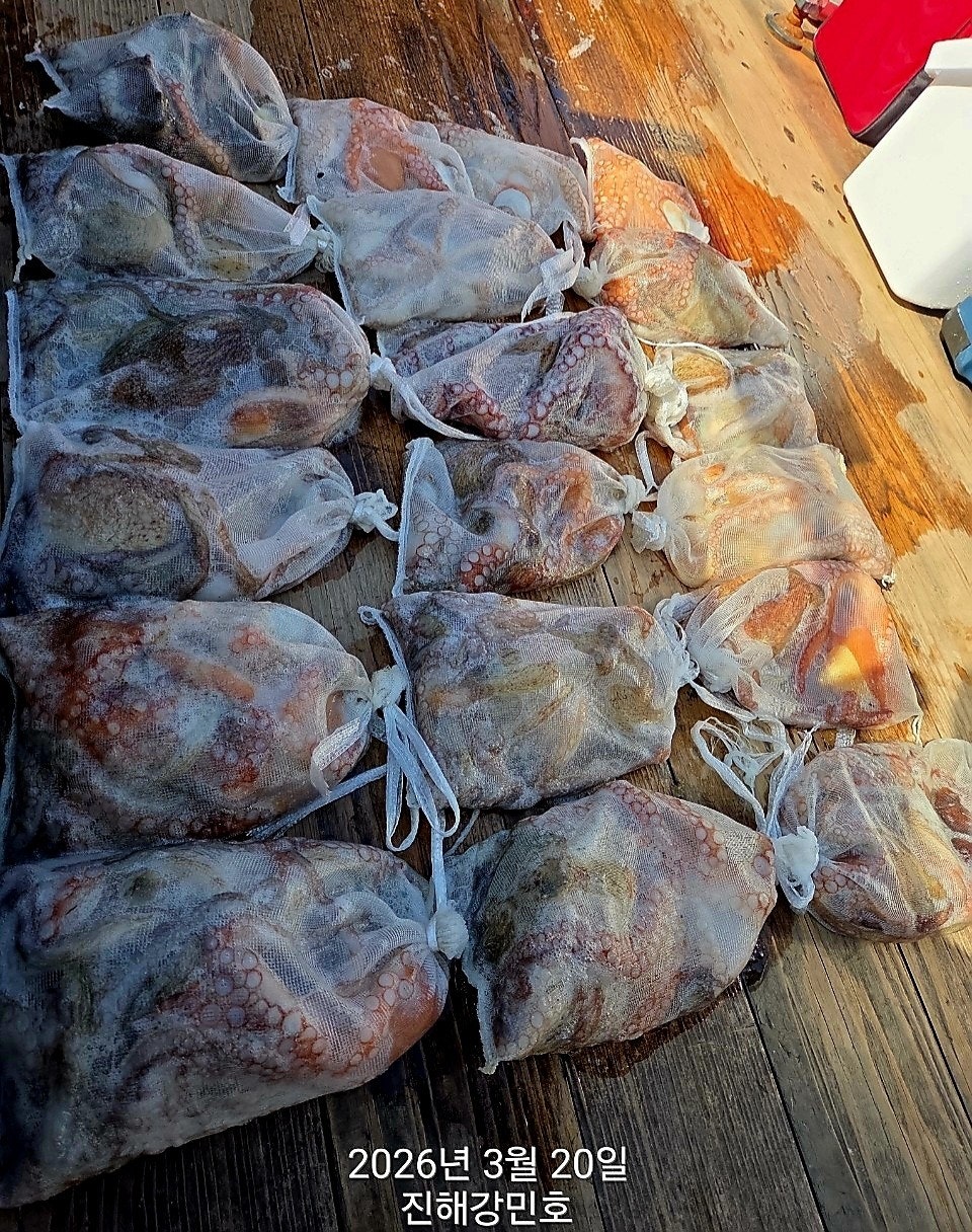 ����ڰ� �ø� �̹���