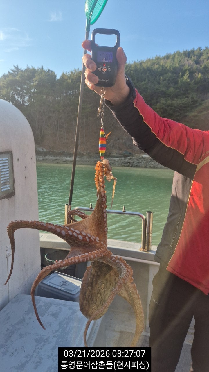 ����ڰ� �ø� �̹���