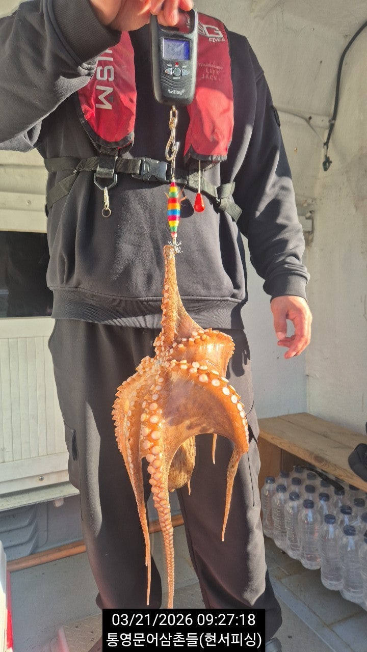 ����ڰ� �ø� �̹���