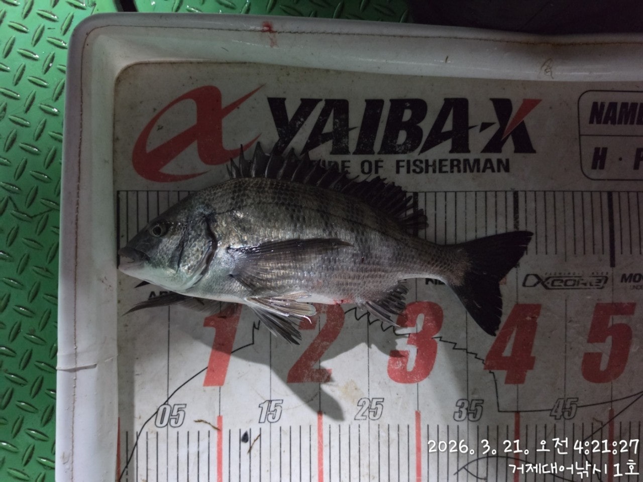 ����ڰ� �ø� �̹���