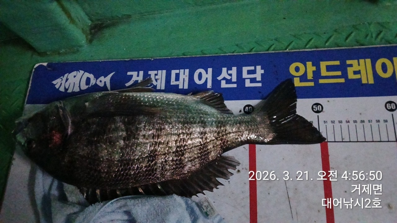 ����ڰ� �ø� �̹���