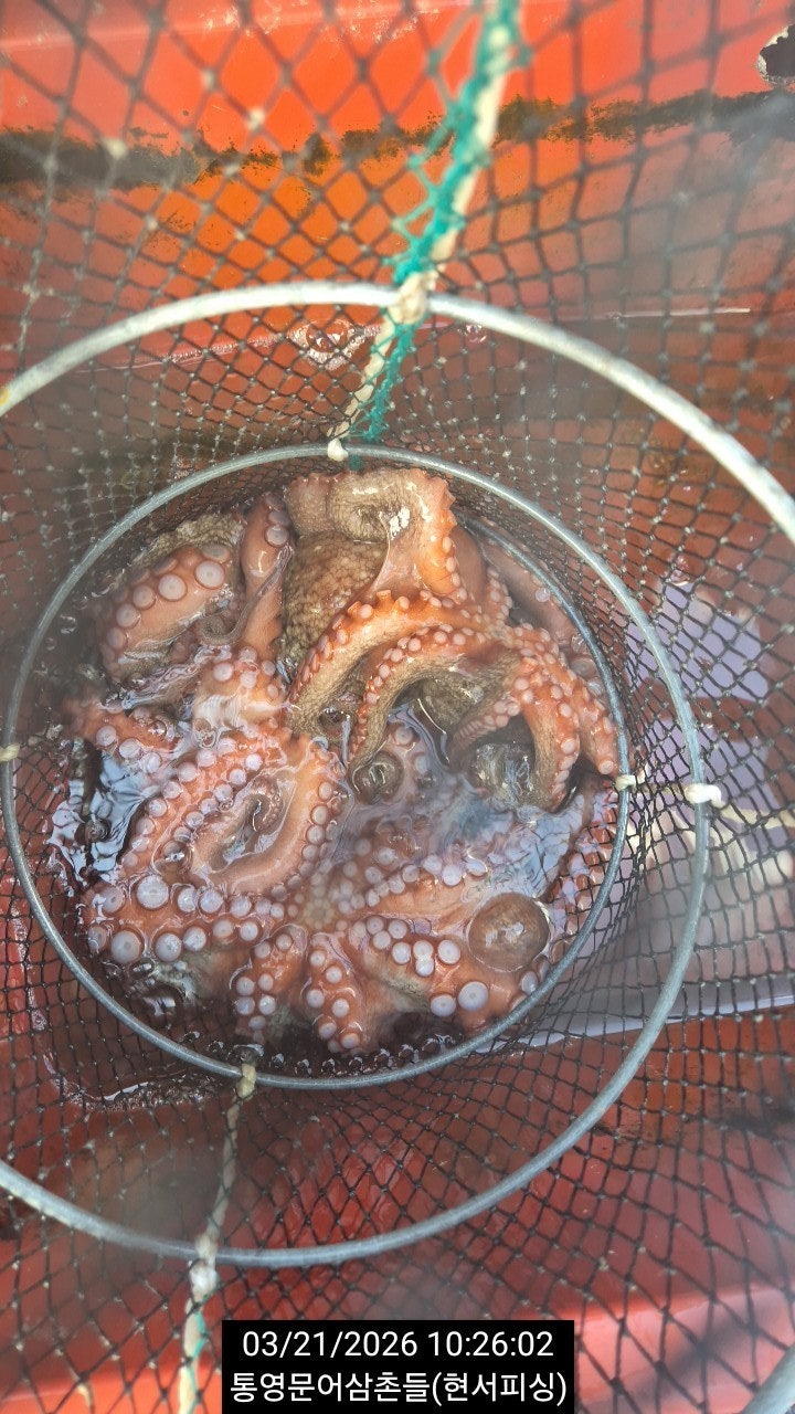 ����ڰ� �ø� �̹���