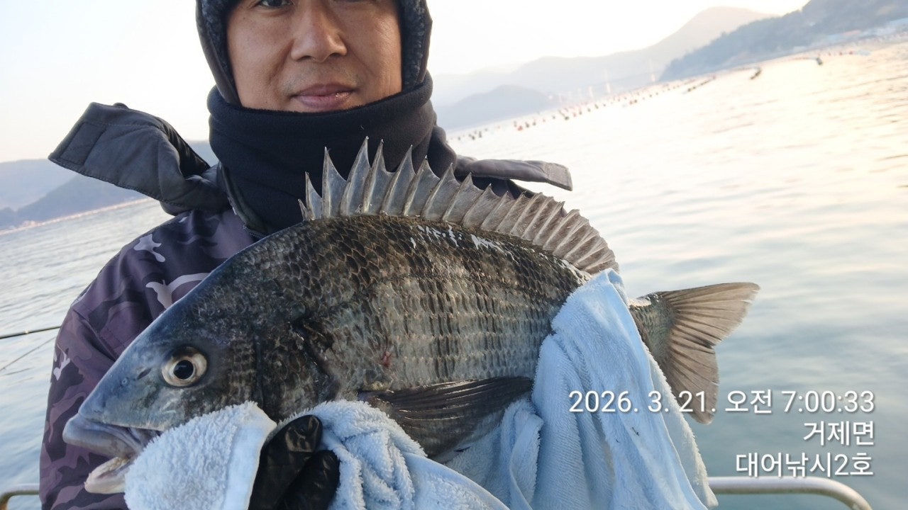 ����ڰ� �ø� �̹���