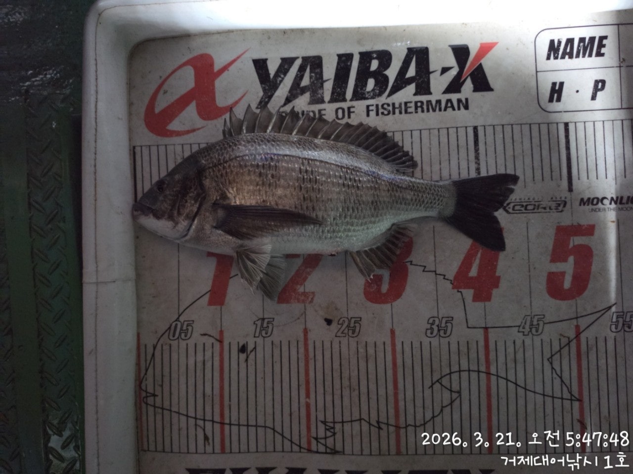 ����ڰ� �ø� �̹���