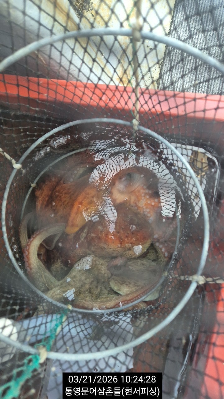 ����ڰ� �ø� �̹���