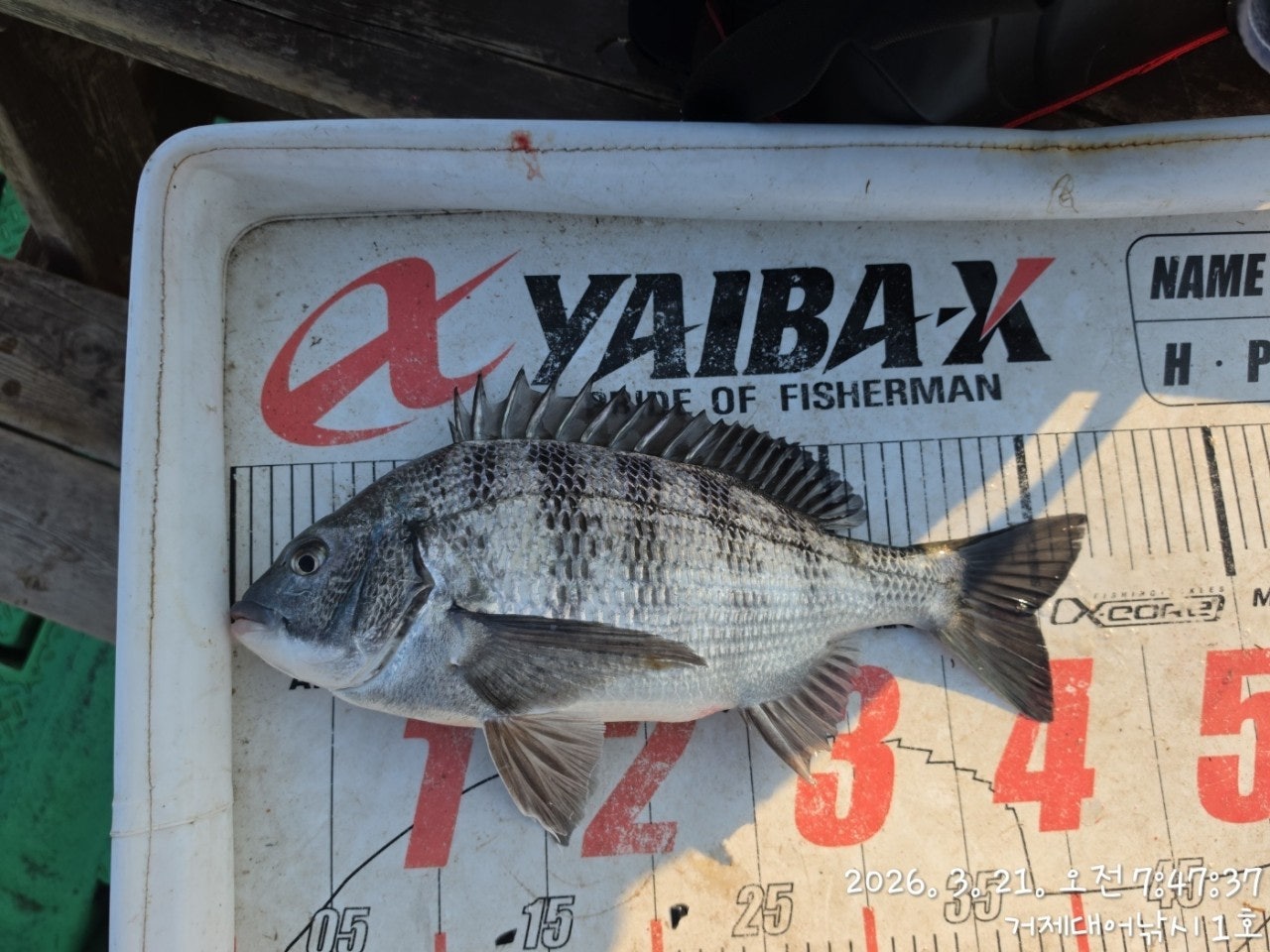 ����ڰ� �ø� �̹���