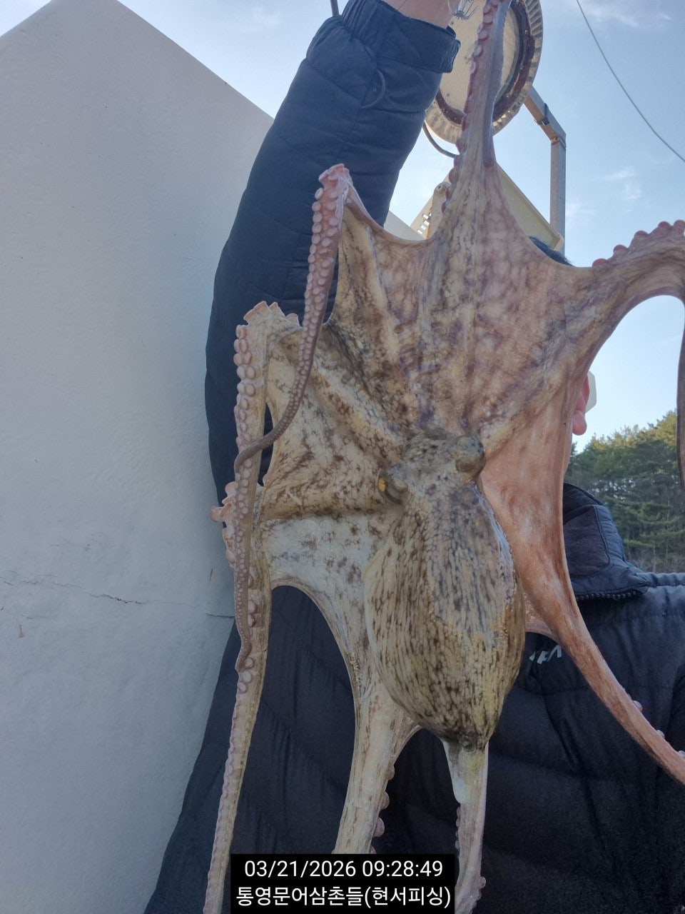 ����ڰ� �ø� �̹���