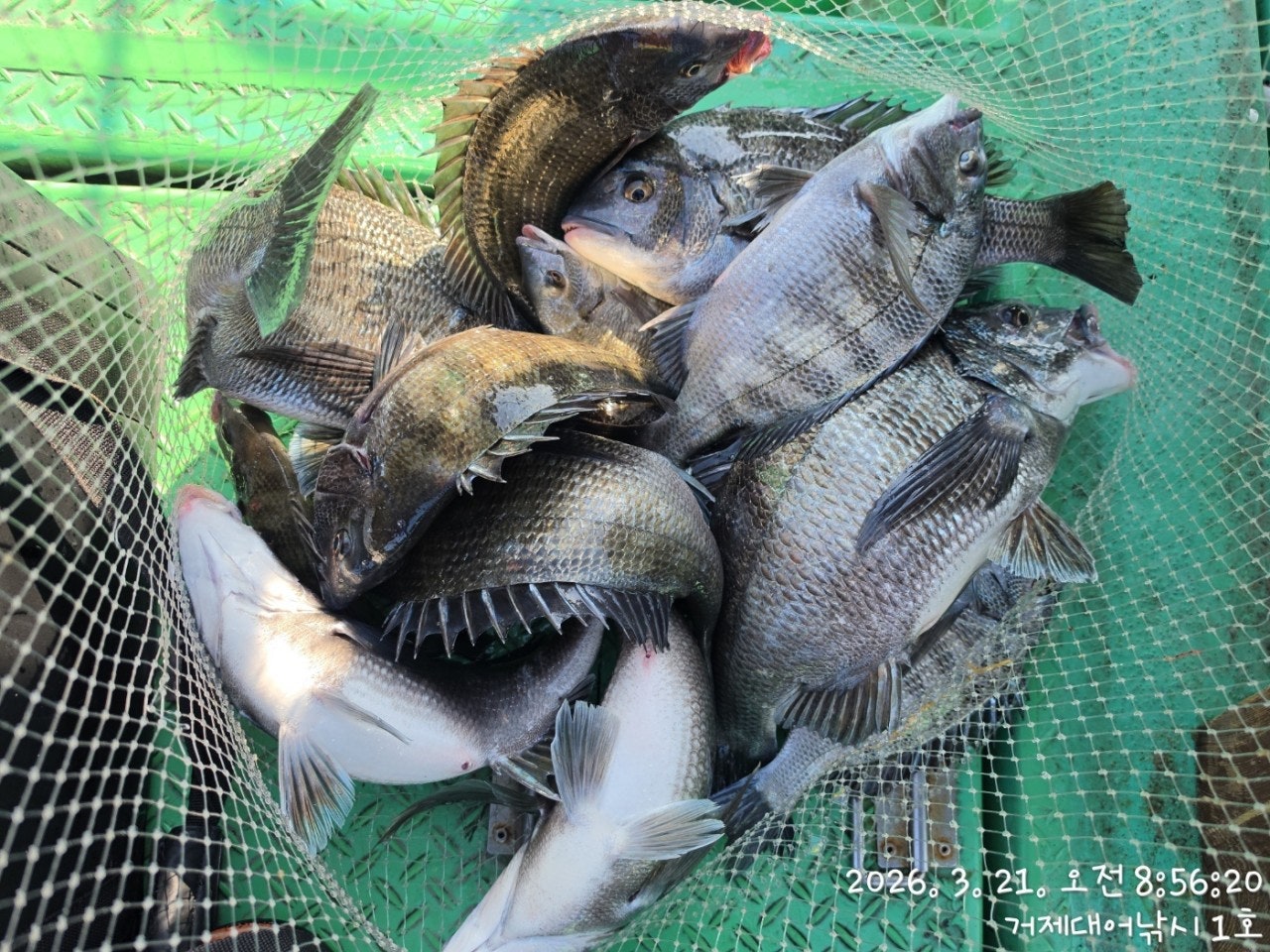 ����ڰ� �ø� �̹���