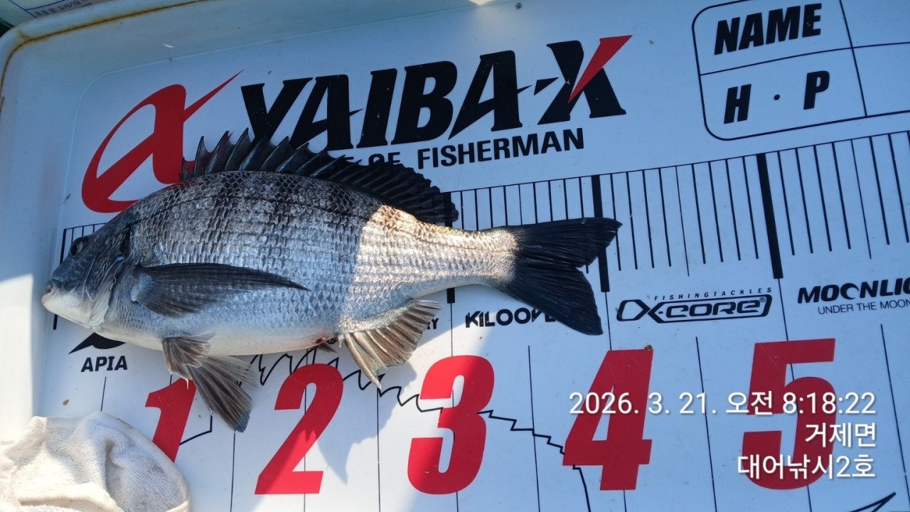 ����ڰ� �ø� �̹���