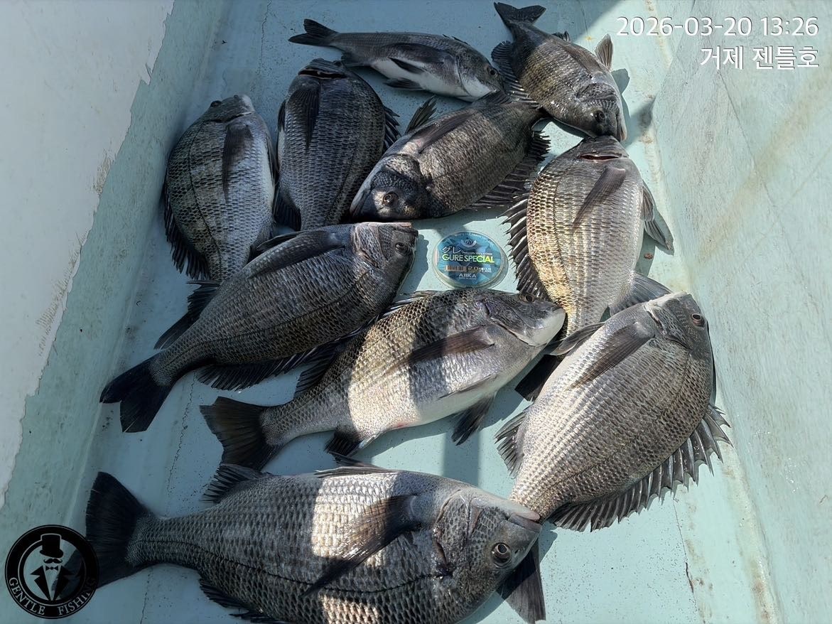 ����ڰ� �ø� �̹���