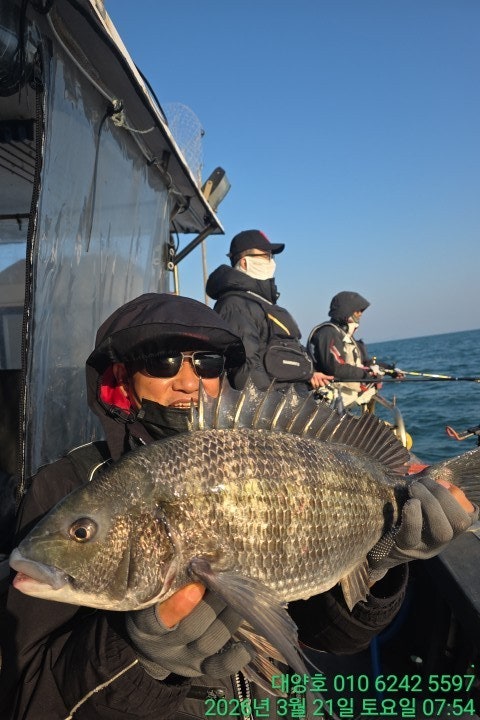 ����ڰ� �ø� �̹���