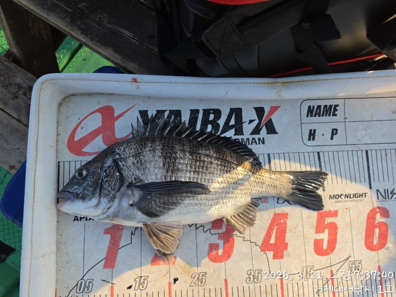 ����ڰ� �ø� �̹���