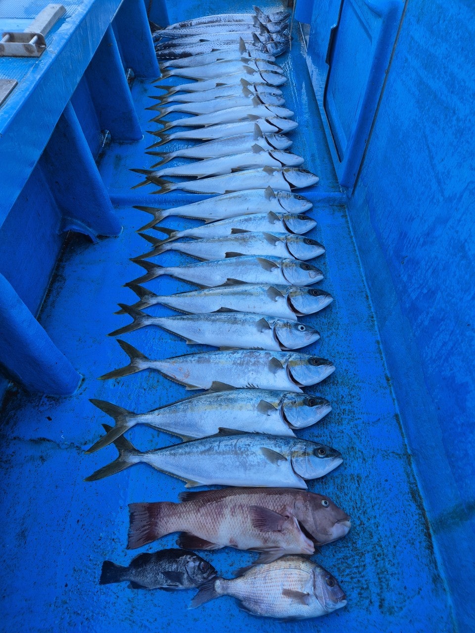 ����ڰ� �ø� �̹���