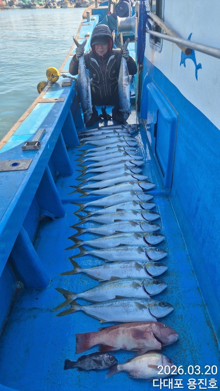 ����ڰ� �ø� �̹���