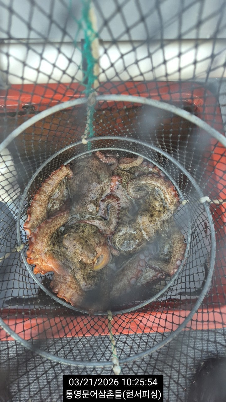 ����ڰ� �ø� �̹���