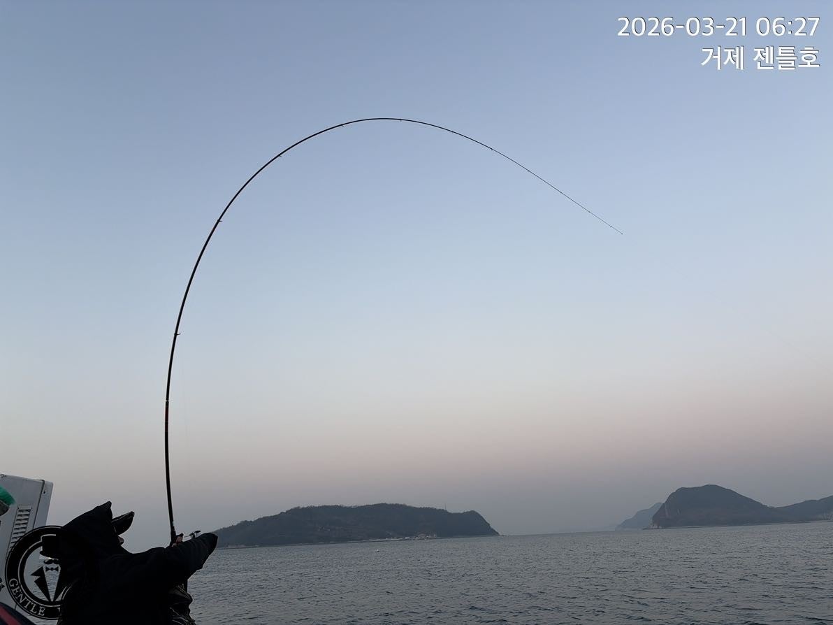 ����ڰ� �ø� �̹���