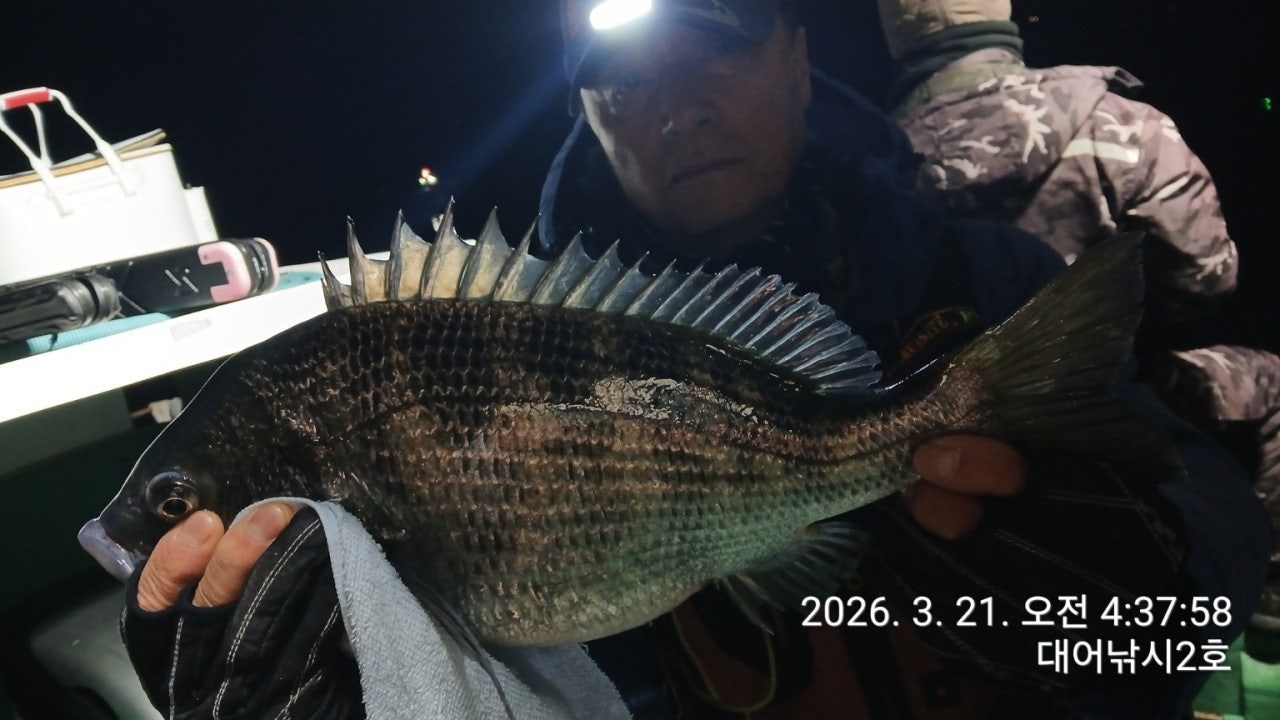 ����ڰ� �ø� �̹���