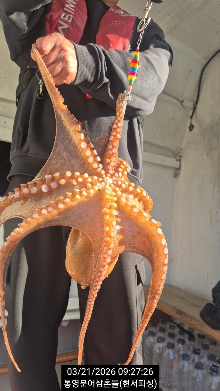 ����ڰ� �ø� �̹���