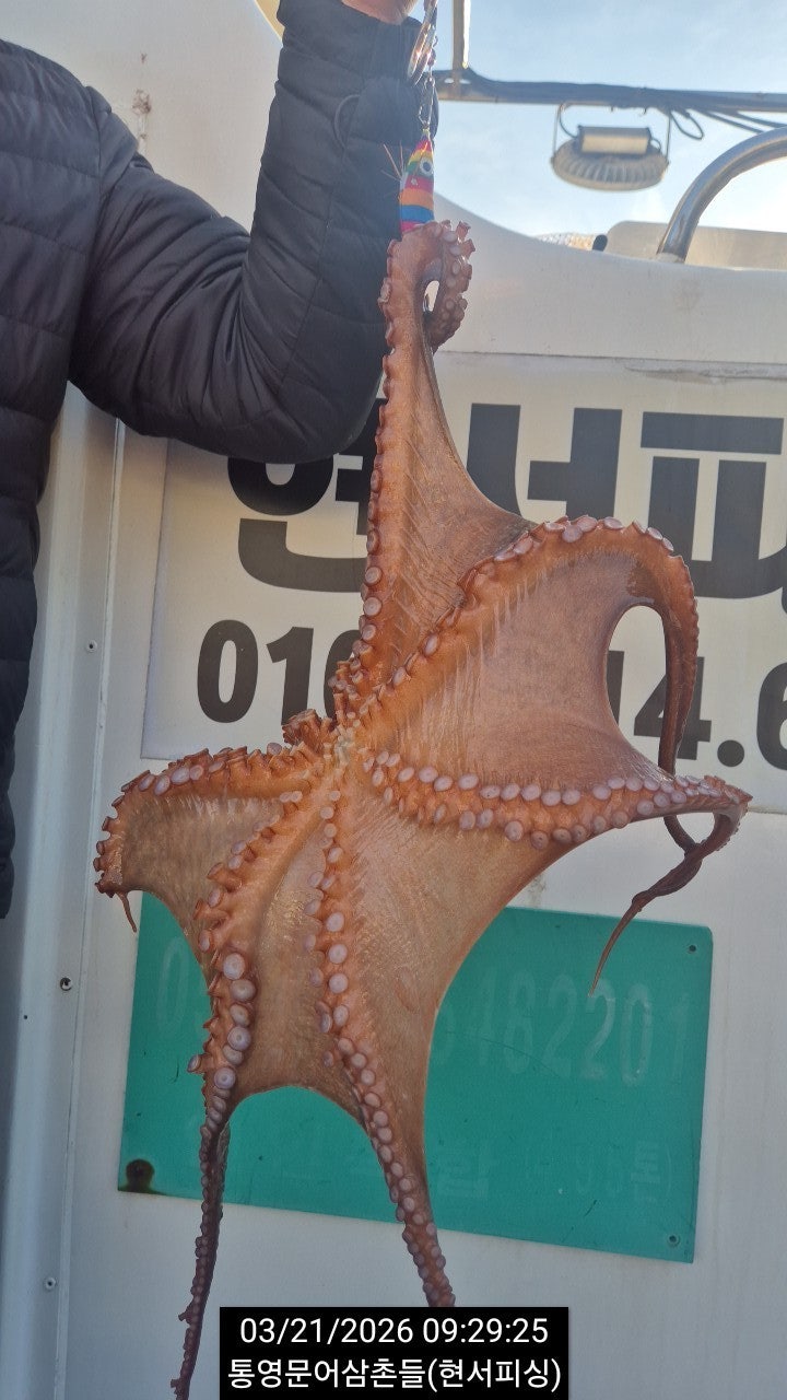 ����ڰ� �ø� �̹���