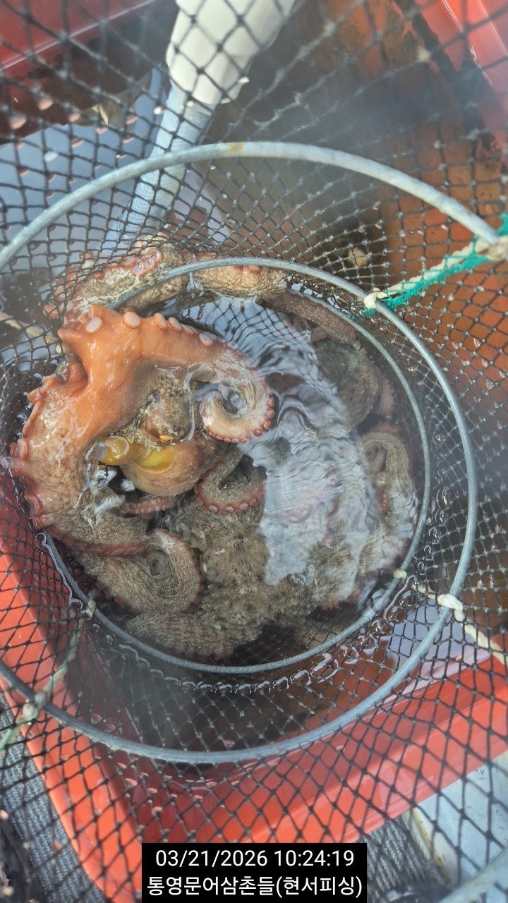 ����ڰ� �ø� �̹���