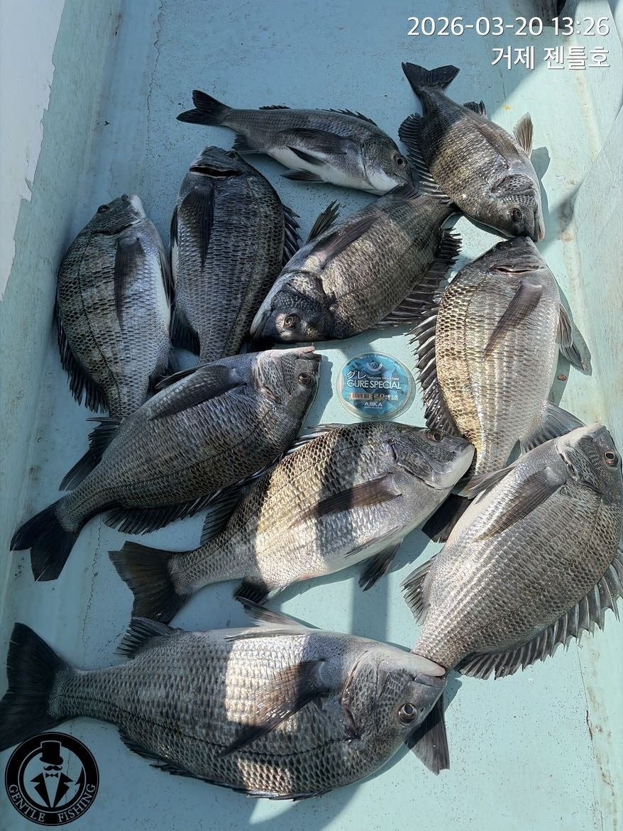 ����ڰ� �ø� �̹���