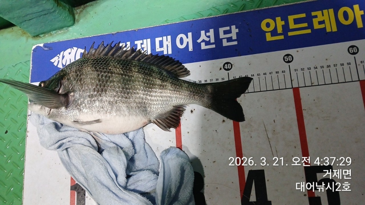 ����ڰ� �ø� �̹���