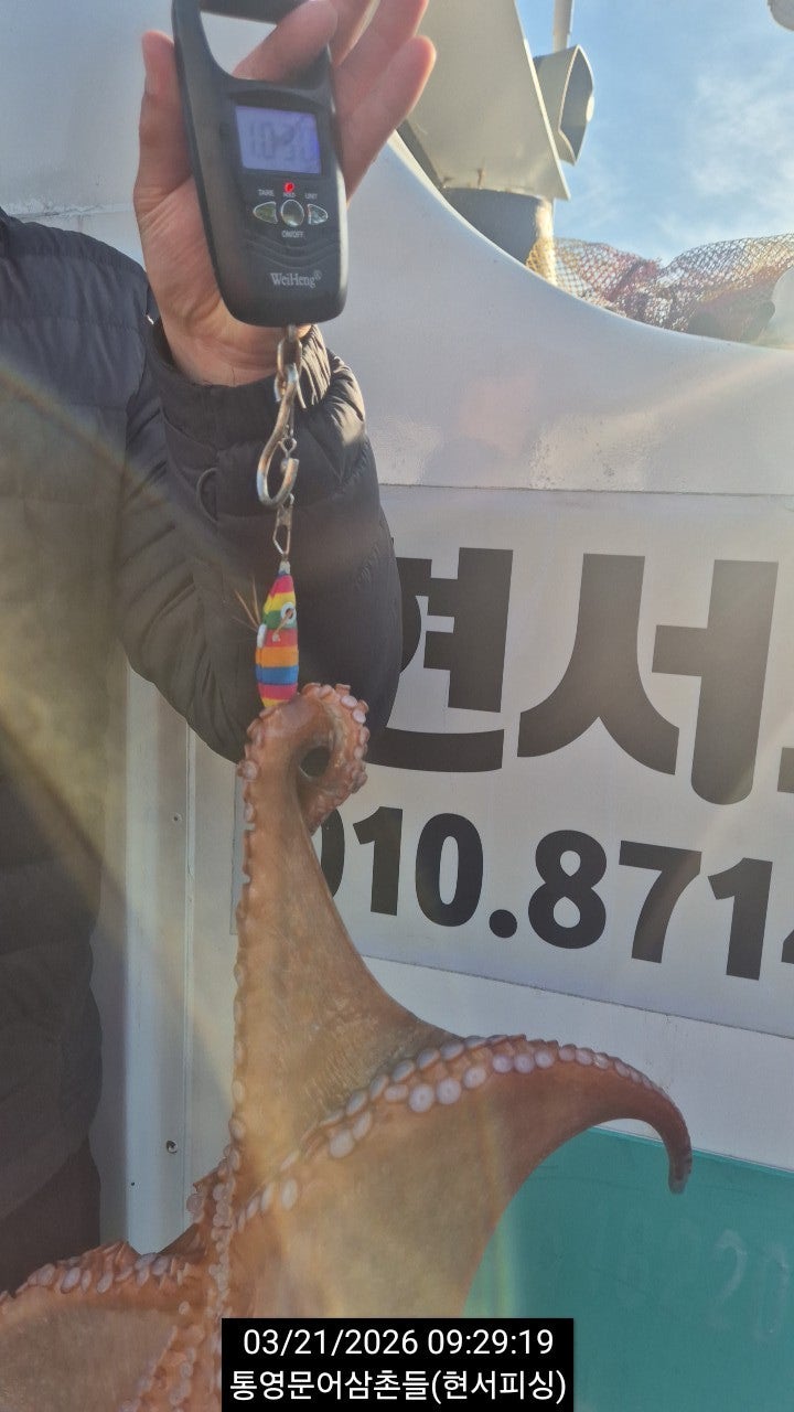 ����ڰ� �ø� �̹���