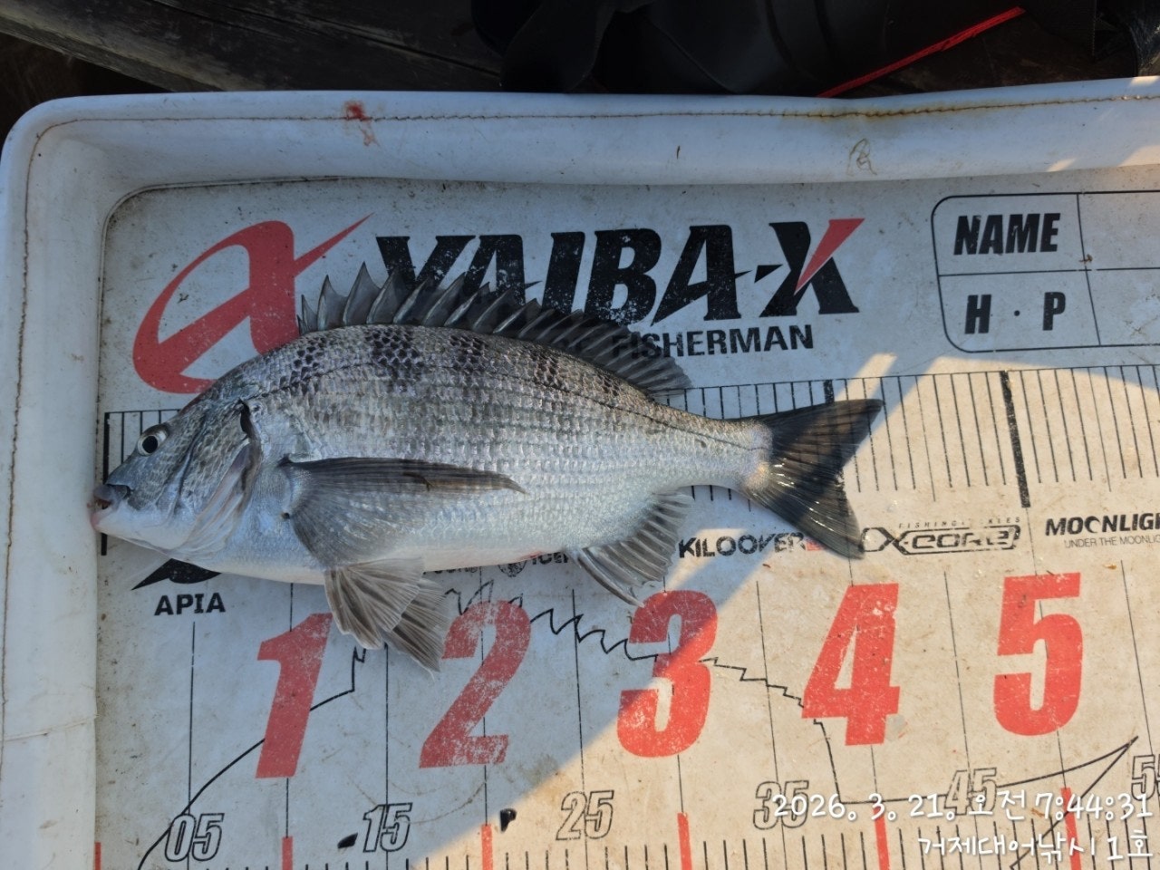 ����ڰ� �ø� �̹���