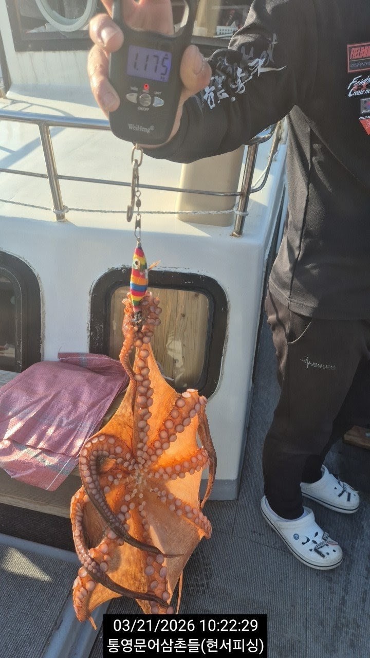 ����ڰ� �ø� �̹���