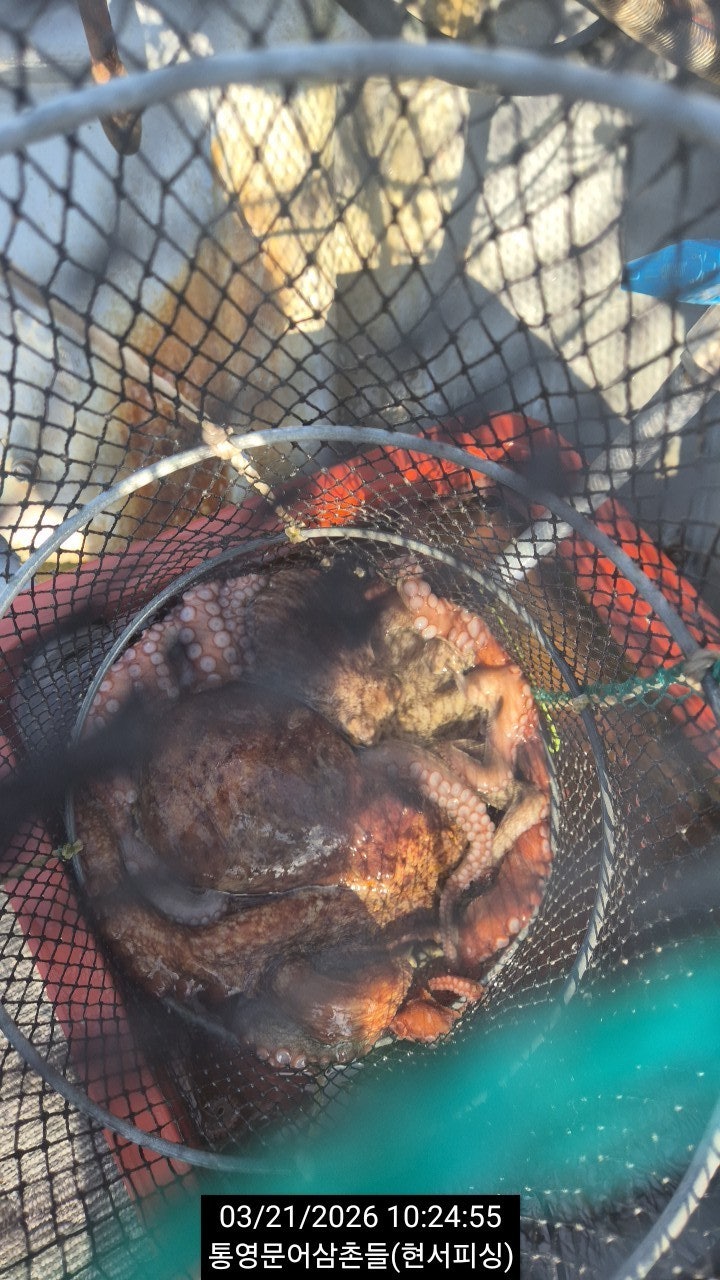 ����ڰ� �ø� �̹���