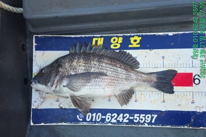 ����ڰ� �ø� �̹���