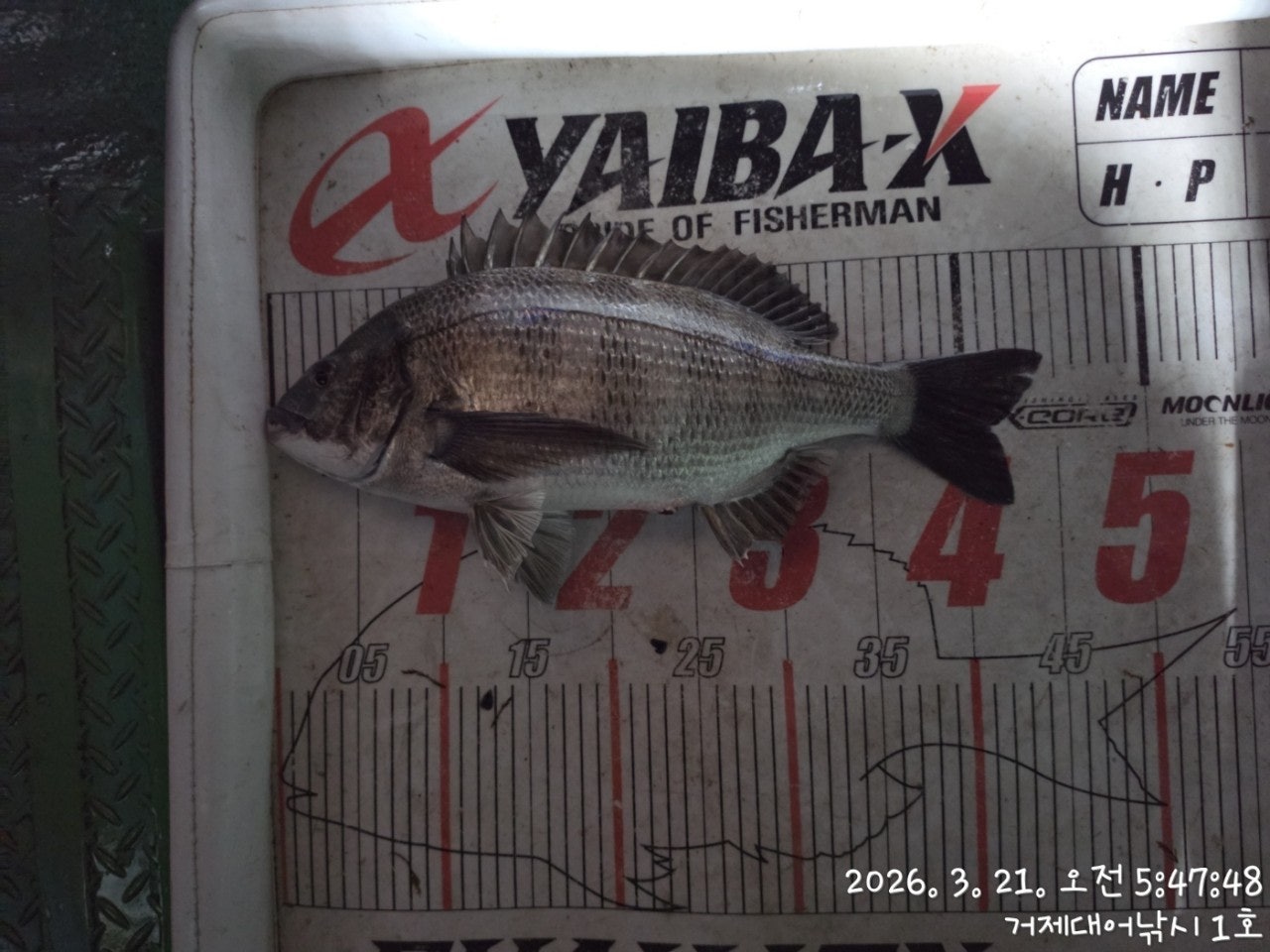 ����ڰ� �ø� �̹���