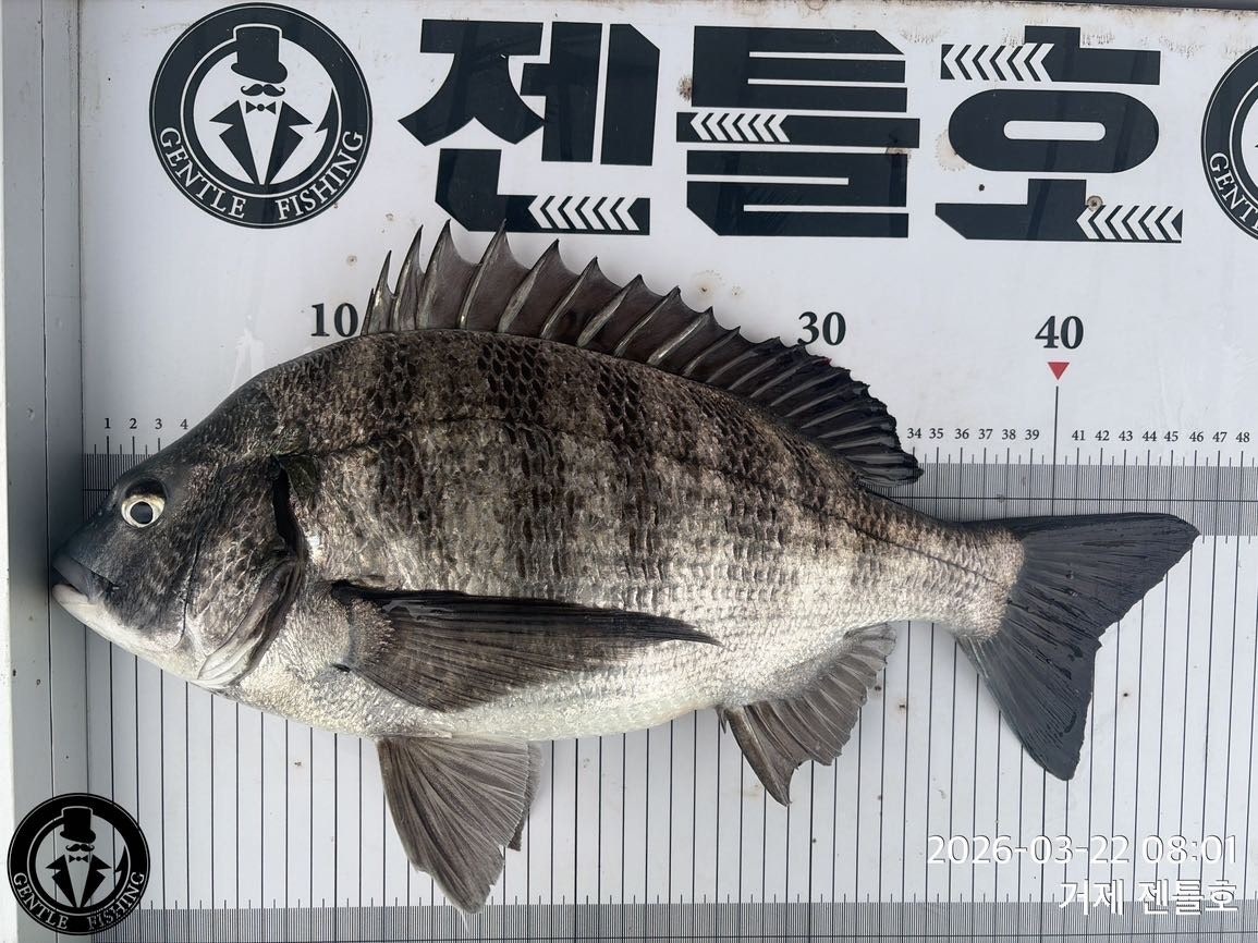 ����ڰ� �ø� �̹���