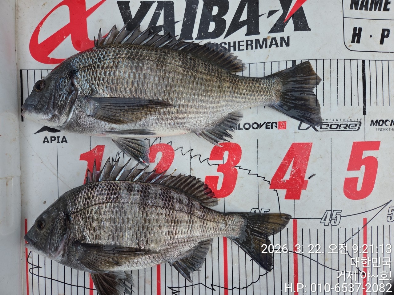 ����ڰ� �ø� �̹���