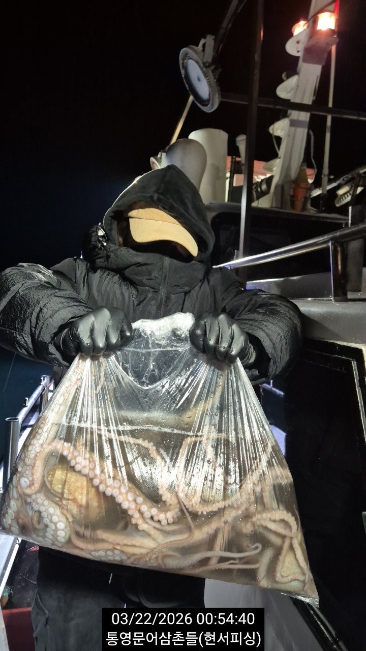 ����ڰ� �ø� �̹���