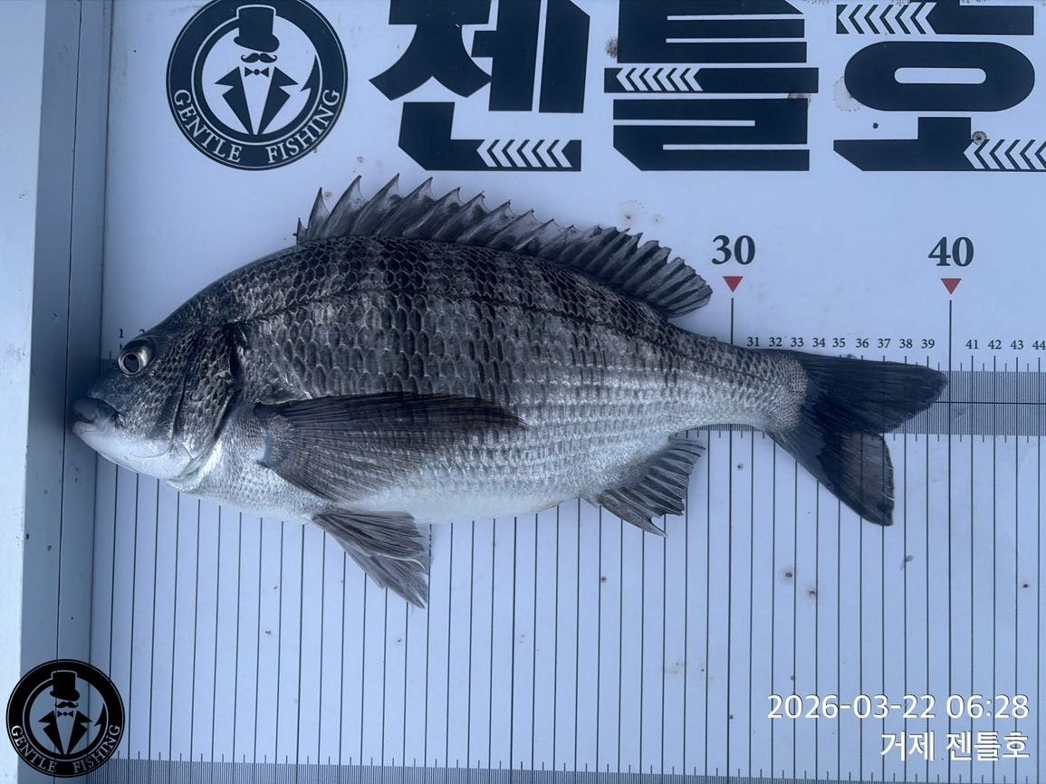 ����ڰ� �ø� �̹���