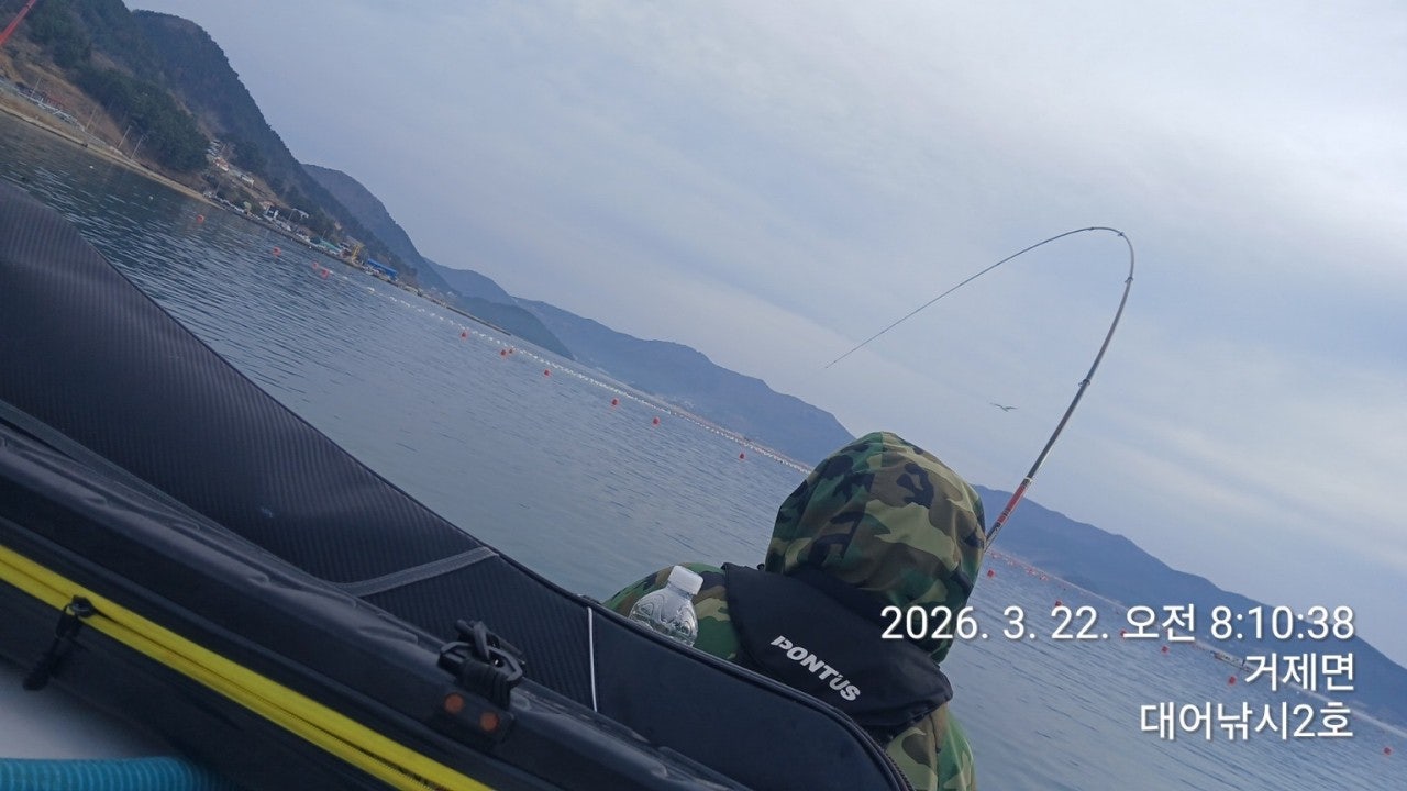 ����ڰ� �ø� �̹���