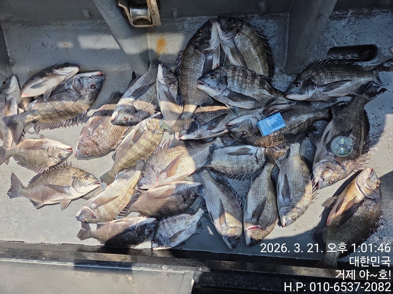 ����ڰ� �ø� �̹���