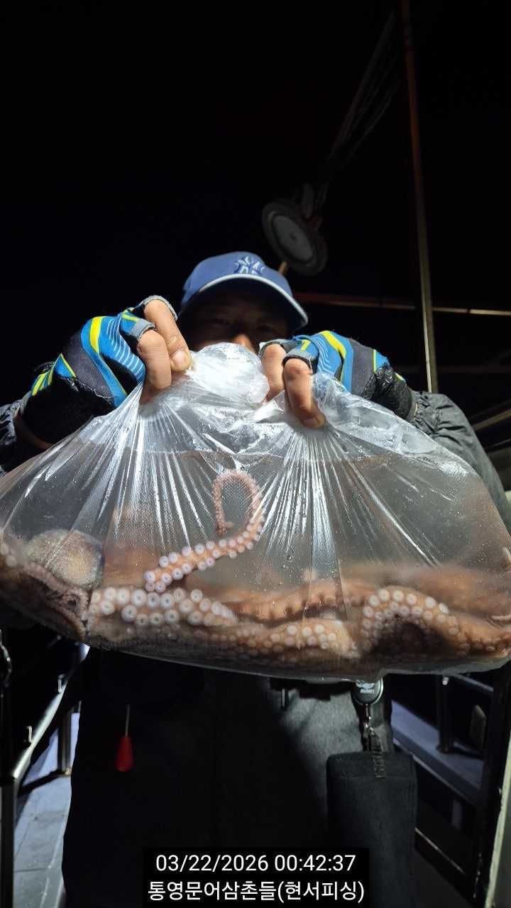 ����ڰ� �ø� �̹���