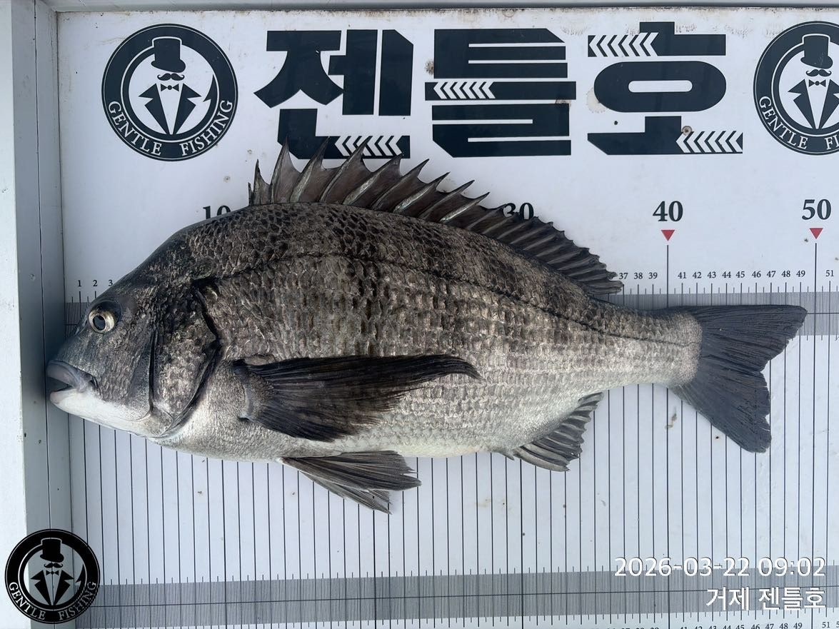 ����ڰ� �ø� �̹���