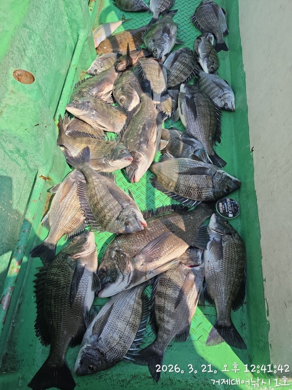 ����ڰ� �ø� �̹���