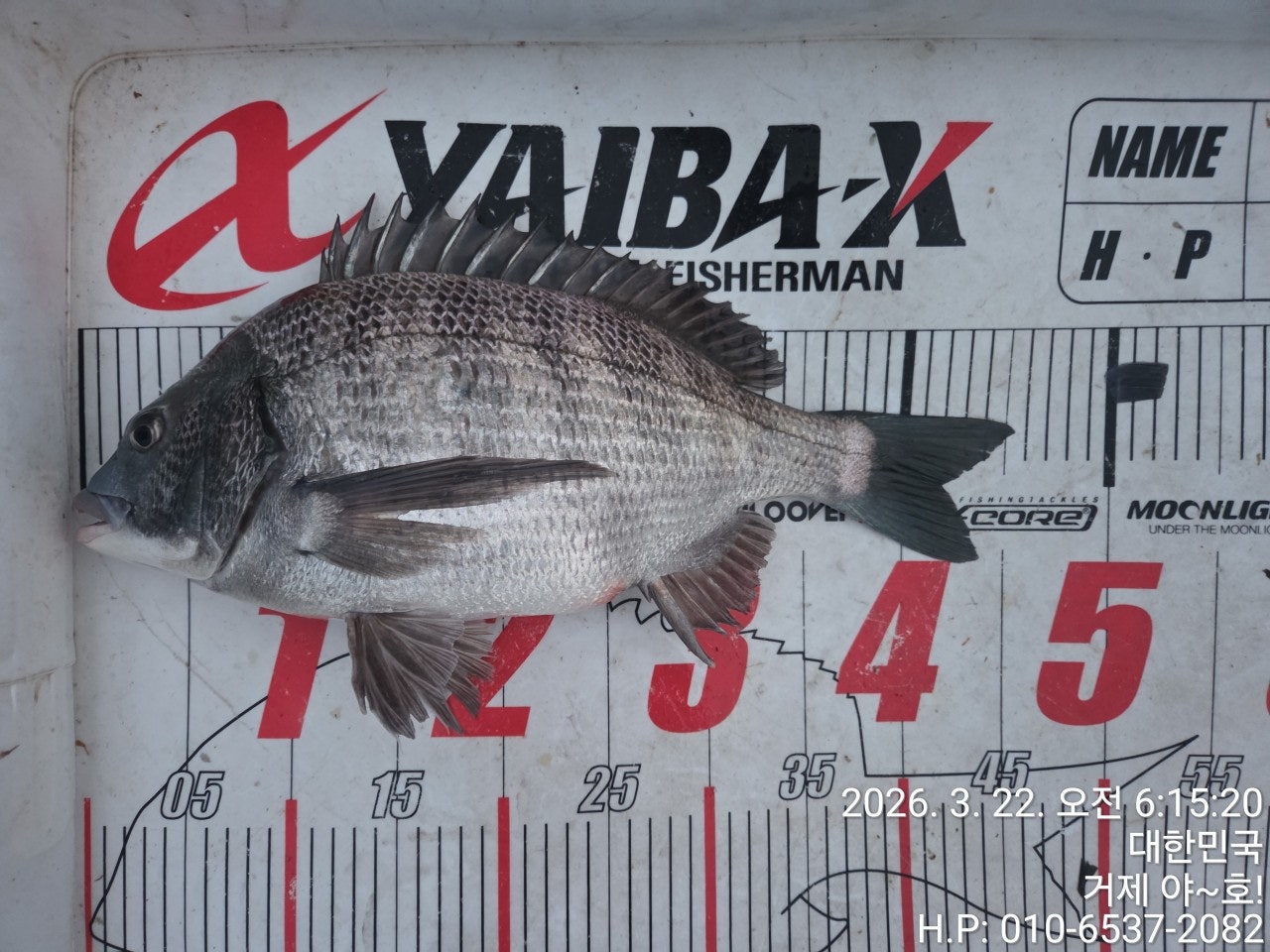 ����ڰ� �ø� �̹���