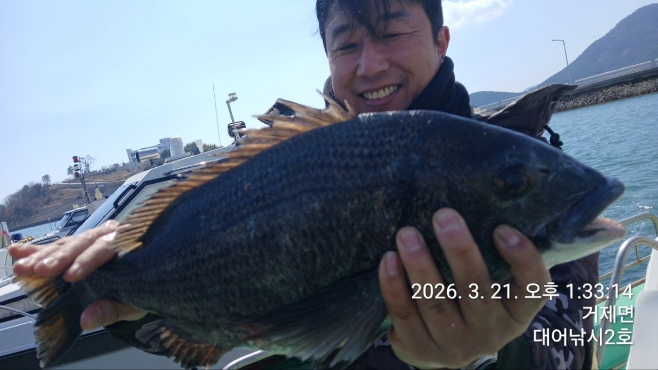 ����ڰ� �ø� �̹���