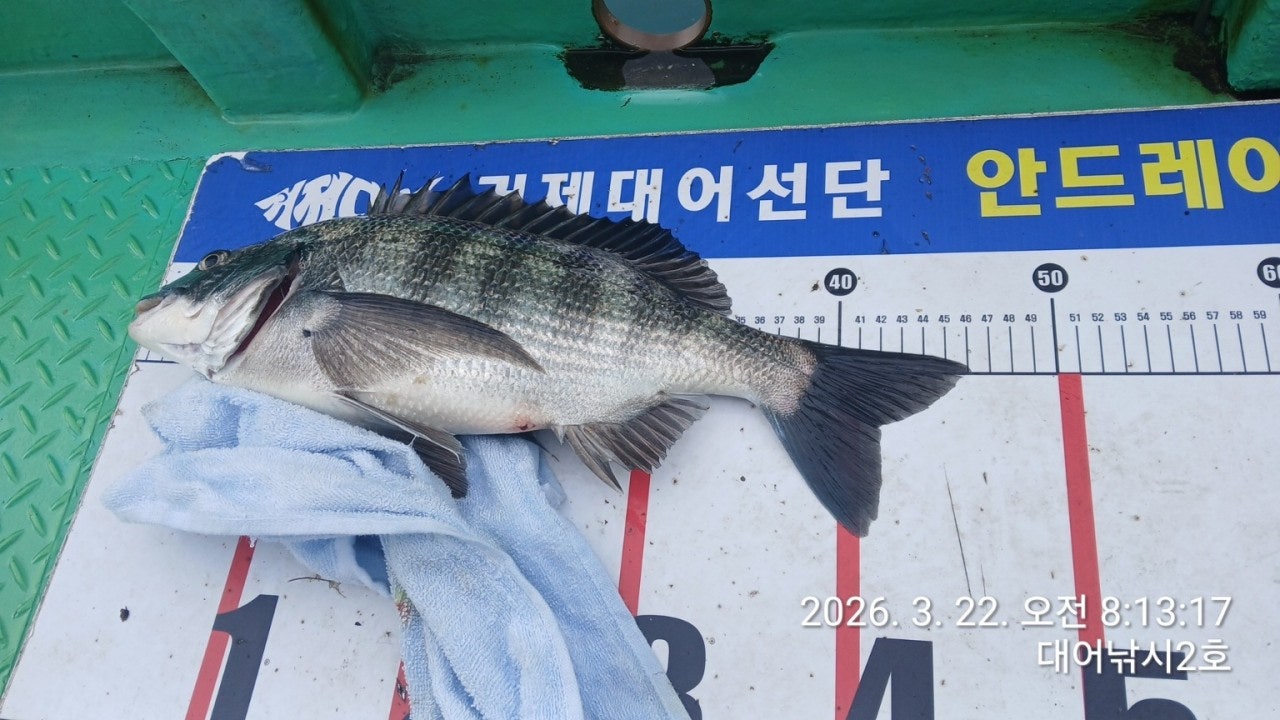 ����ڰ� �ø� �̹���