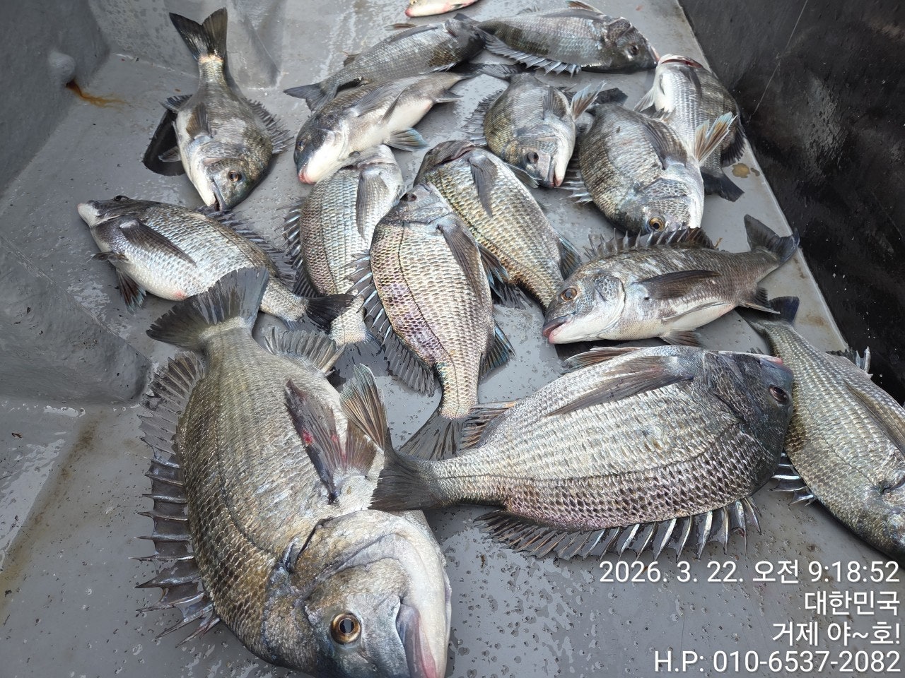 ����ڰ� �ø� �̹���