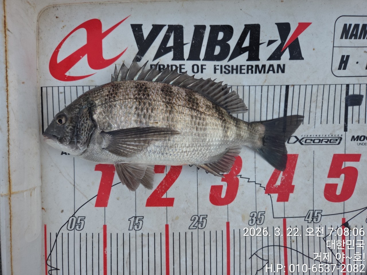 ����ڰ� �ø� �̹���