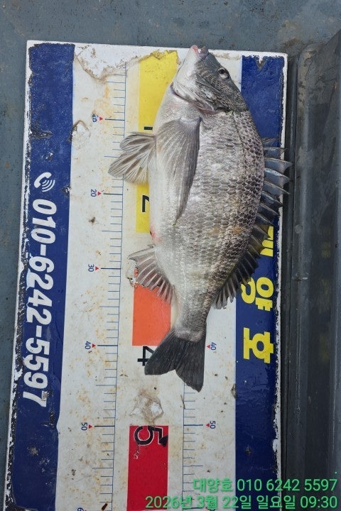 ����ڰ� �ø� �̹���