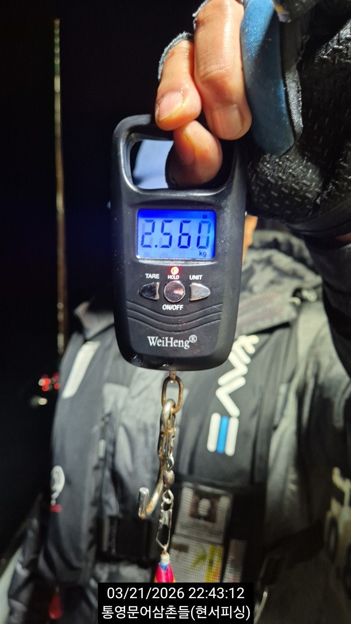 ����ڰ� �ø� �̹���